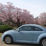 かぶぶ's profile picture