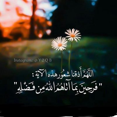 ya_allah01's profile picture