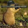 Max Denker's profile picture
