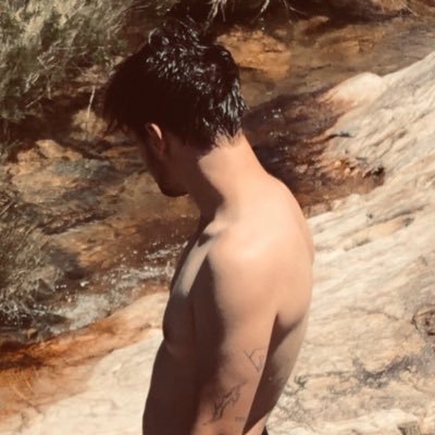 V̶̨̮͔̦̲͙͙͖̈́͛̄͒otú's profile picture
