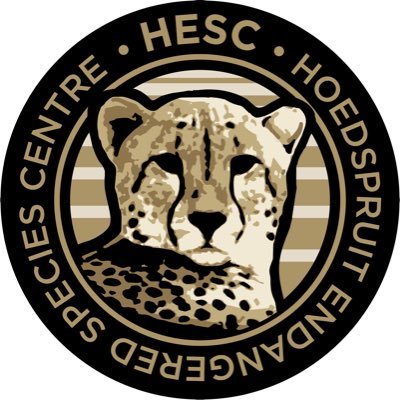Cheetah_Centre's profile picture