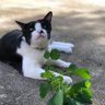 ae profil fotoğrafı