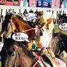 Фото профиля みずほ大ファン