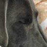 doug's profile picture