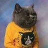 justin case's profile picture