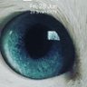 Profilbild von mikit3