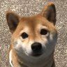Profilbild von TiggyMD