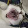dave's profile picture