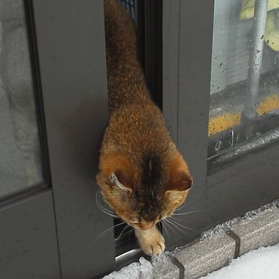 5382_aki's profile picture