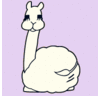 ryama_san's profile picture