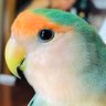 Profilbild von 𝓼𝔂𝓾𝓷𝔃𝓮𝓻𝓸