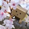 Profilbild von 里桜