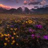 Фото профиля |~ For ever ~|