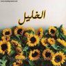 أبو الخليل الحلاوة 的头像