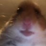 dani minekraft's profile picture
