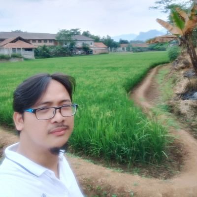 Ahmad Syawaludin's profile picture