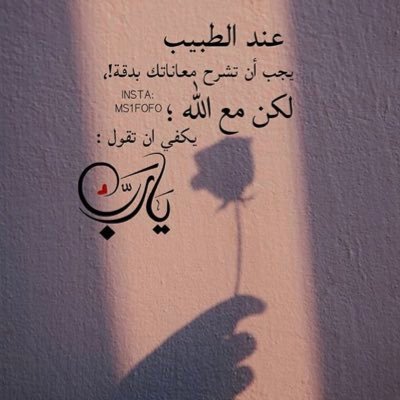 noor_qu1's profile picture