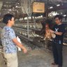 本格屋台焼鳥串炎 profil fotoğrafı