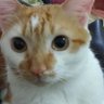 Bri profil fotoğrafı