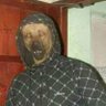 Profilbild von z