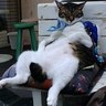 北尾周史 profil fotoğrafı