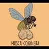 José Manuel's profile picture