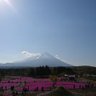 山さん profil fotoğrafı