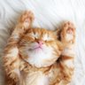Profilbild von Kat