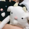 ヤギヌマメイ告知 的头像