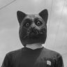 ✨ 👾 Jake Reeves 👾✨'s profile picture