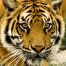 FetishFanatic's profile picture
