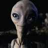 Фото профиля Altcoins