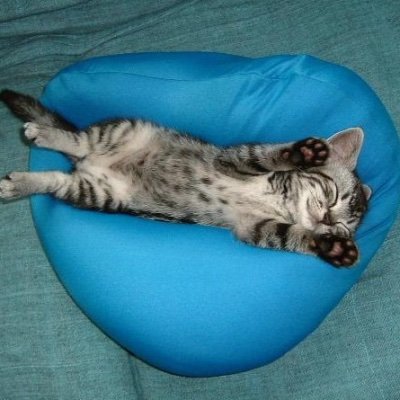naonaotaiga's profile picture