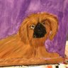 Purple Peke profil fotoğrafı