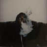 Meeeeks 🤘🏾's profile picture