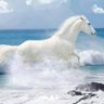 Profilbild von White Horse