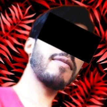 Wyller Sylver's profile picture