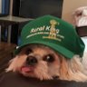 RLilley's profile picture