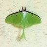 Jaime Aguilas's profile picture