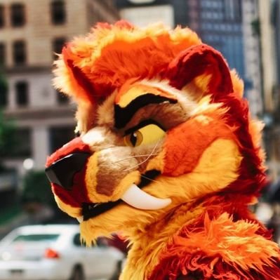 CiderSaber's profile picture