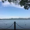 YY 的头像