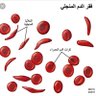 Фото профиля الأنيميا المنجلية @
