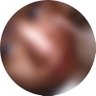 結城 アキラ profil fotoğrafı