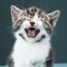Profilbild von Miounette