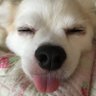 風太's profile picture