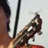 Tomo.'s profile picture