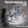Добра Пані's profile picture