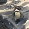 にった 的头像
