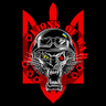 Profilbild von Lions of victory + доhуя% опору окупації