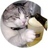 ねえ profil fotoğrafı